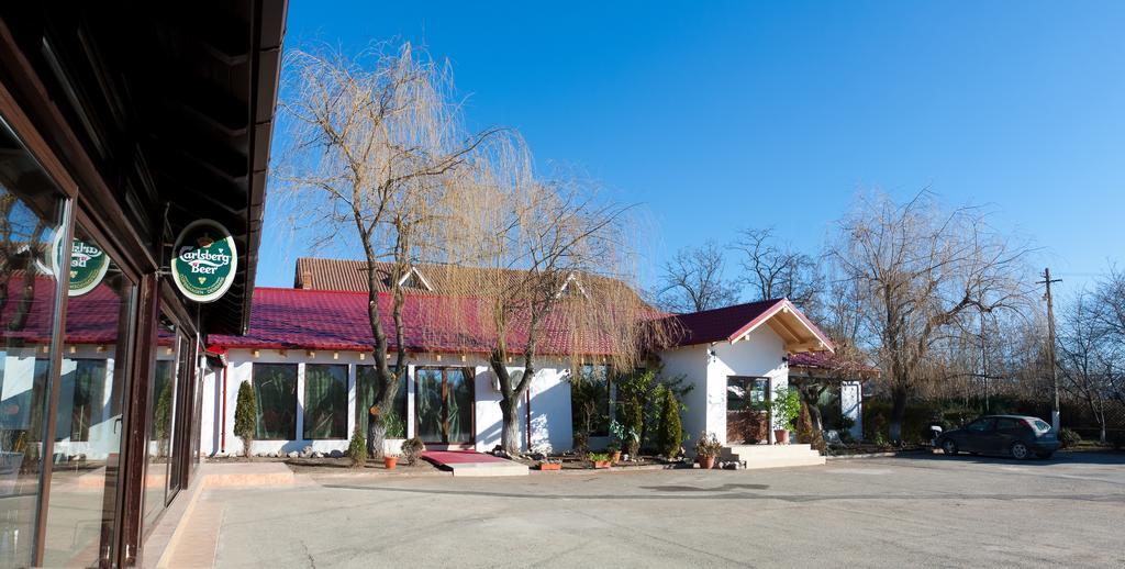 Pension Club Montana Câmpina Exterior photo