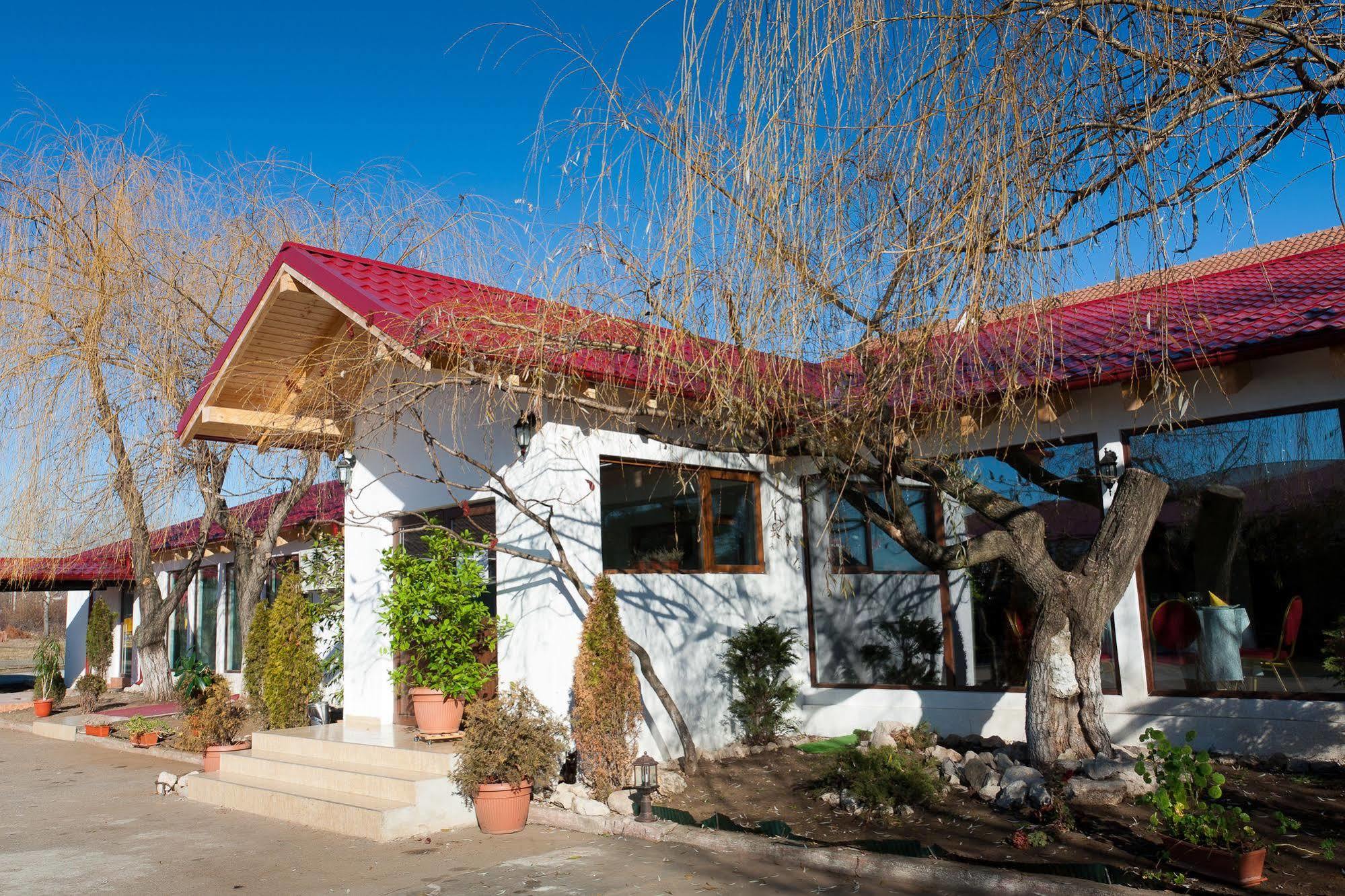 Pension Club Montana Câmpina Exterior photo